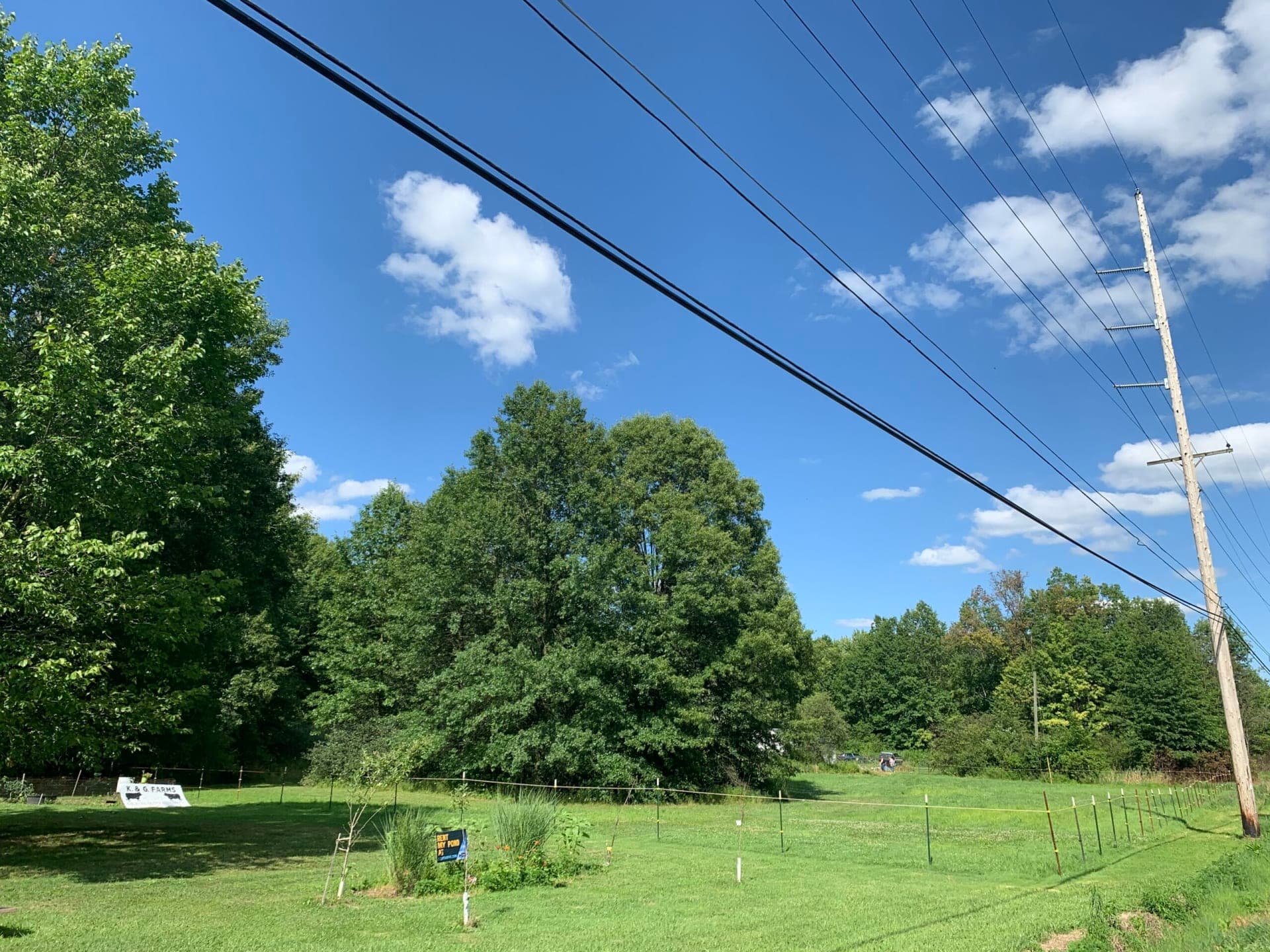 Barn/Pasture